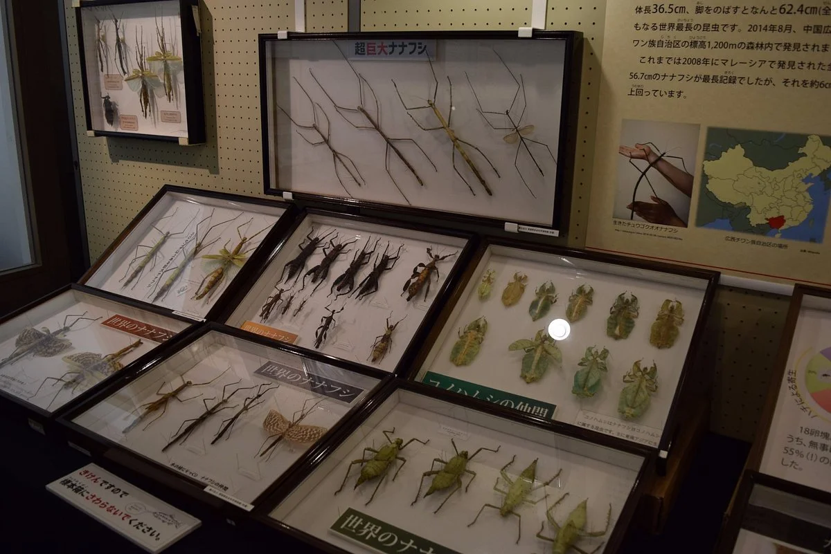 Omogukei Museum