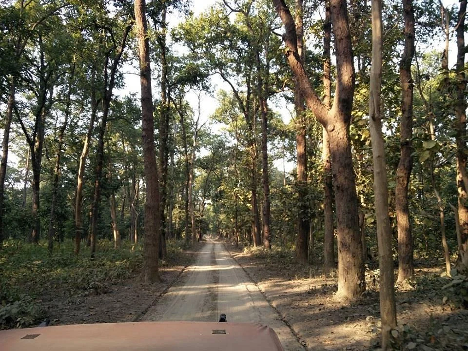 Kishanpur Sanctuary