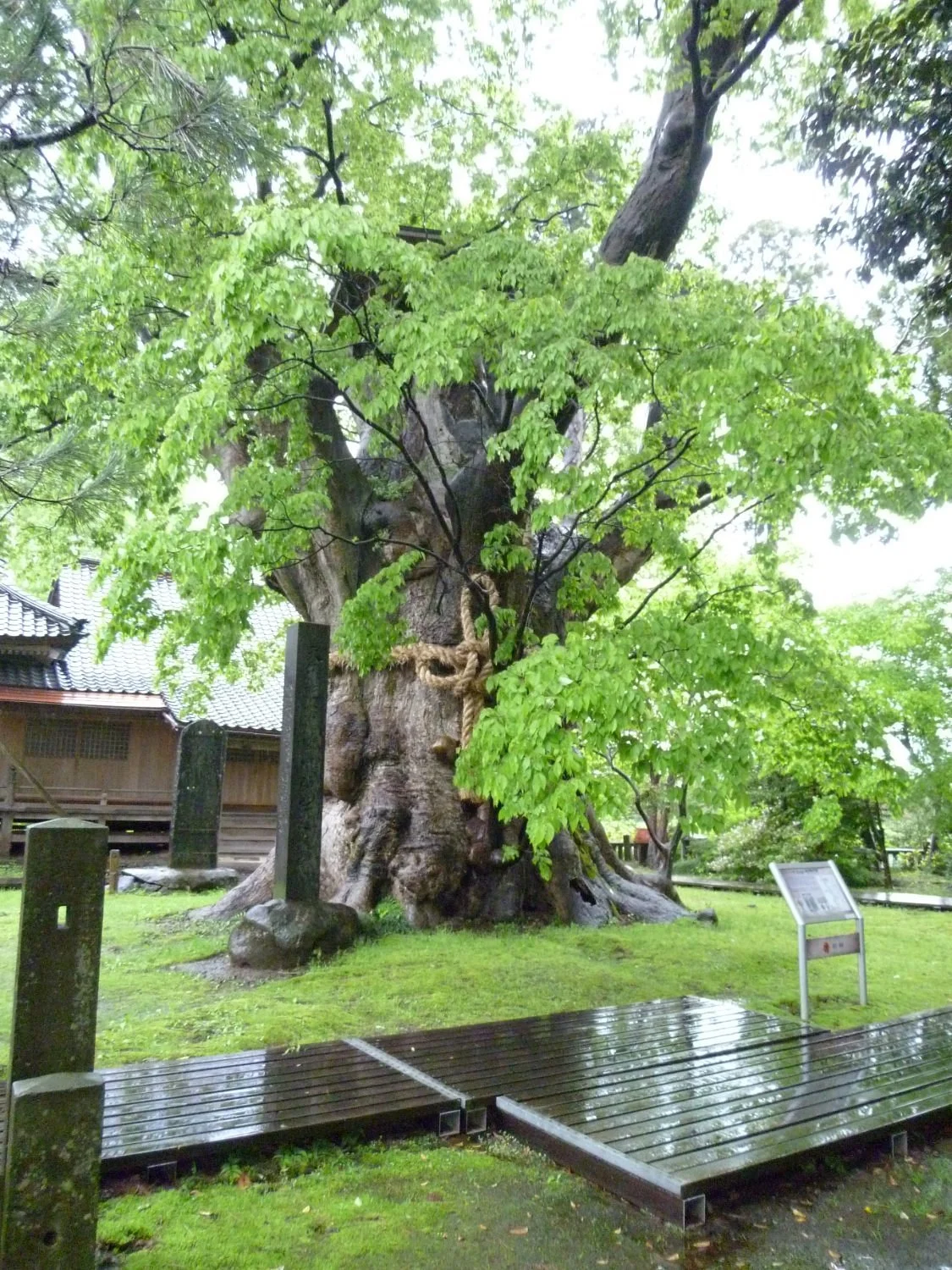 Ukawa Shrine no Okeyaki