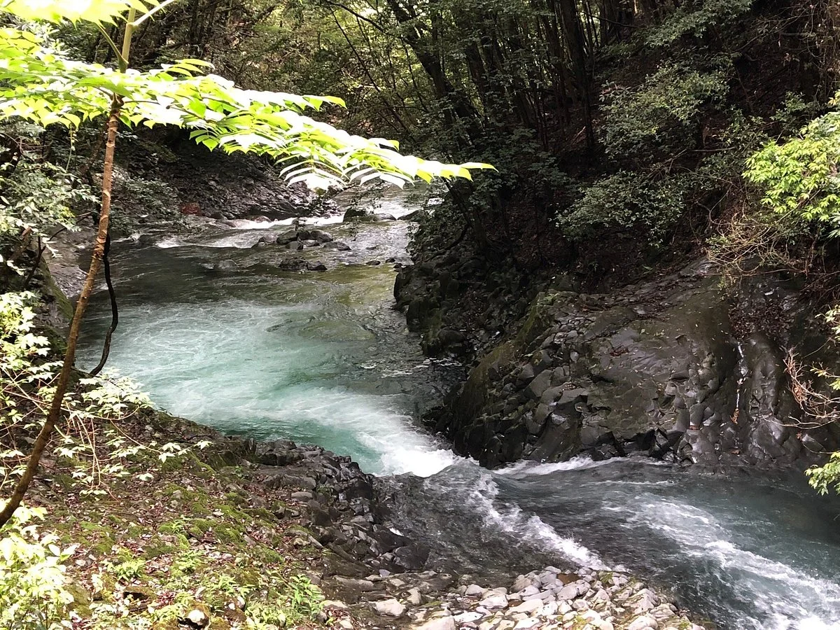 Saruta Fuchi
