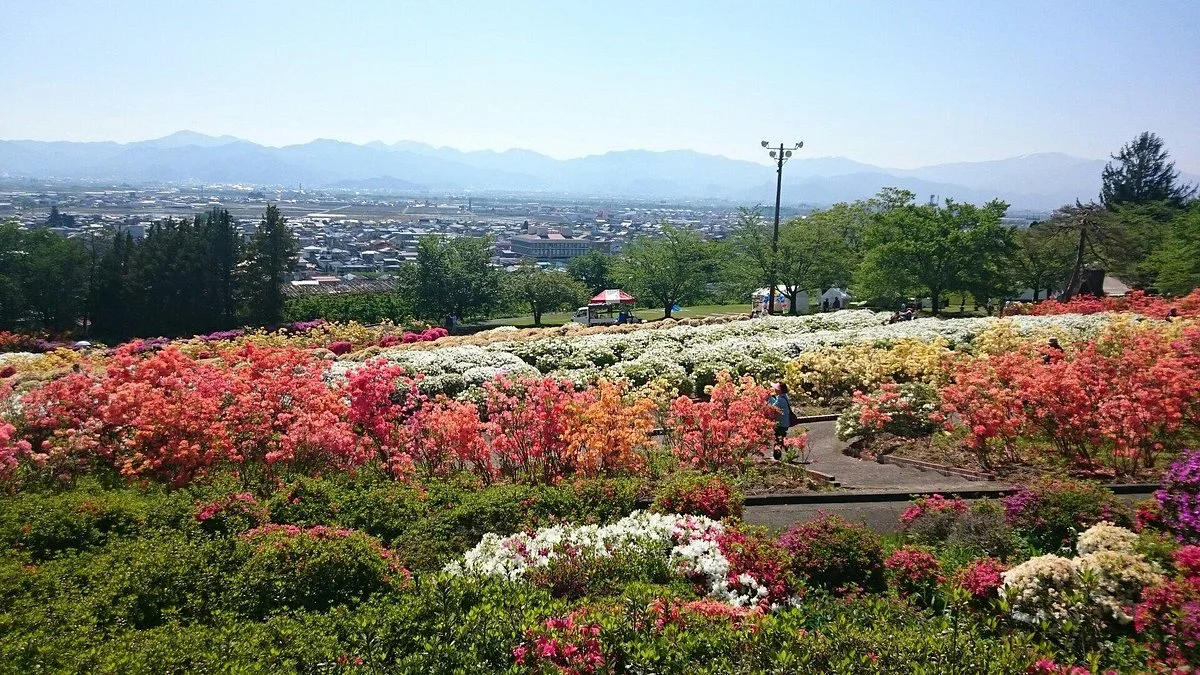 Sagae Park