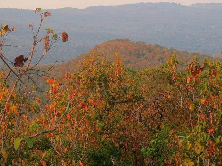 Phu Wiang National Park