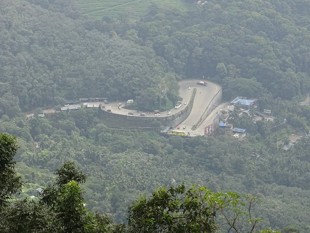 Chain Tree of Karinthandan