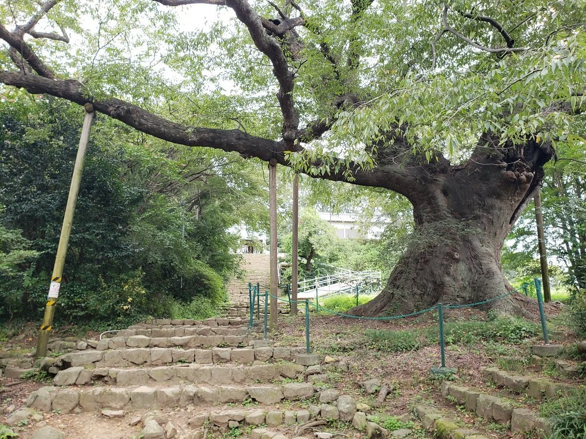 Kanayama no Okeyaki