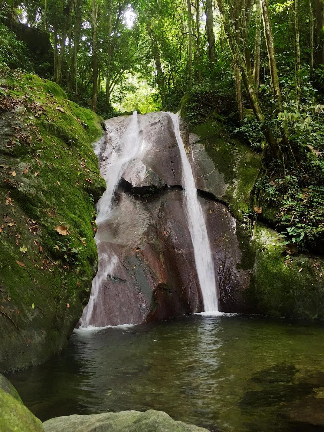 Poring Hot Spring and Nature Reserve
