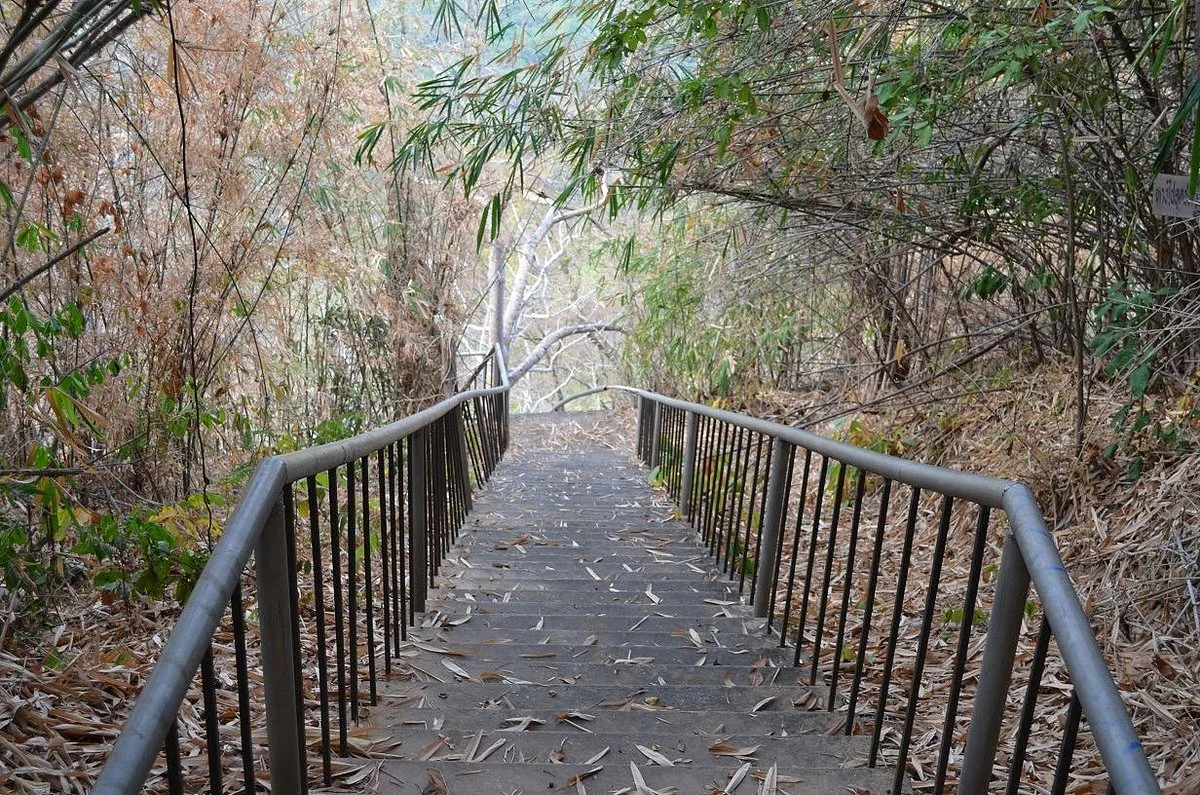 Phu Pha Yon National Park