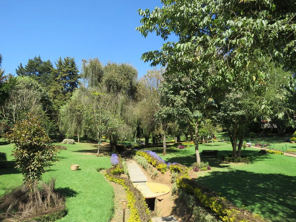 Arboretum Tree Garden