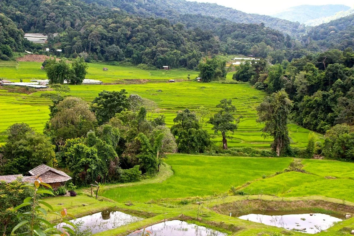 Mae Khlang Luang Village stay