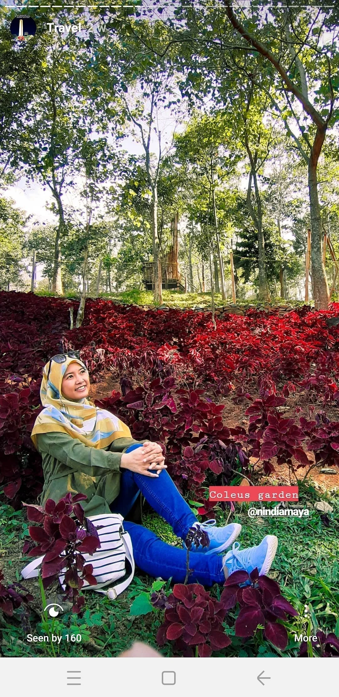 Wana Wisata Negeri Bambu