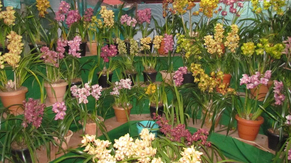 Deorali Orchid Sanctuary