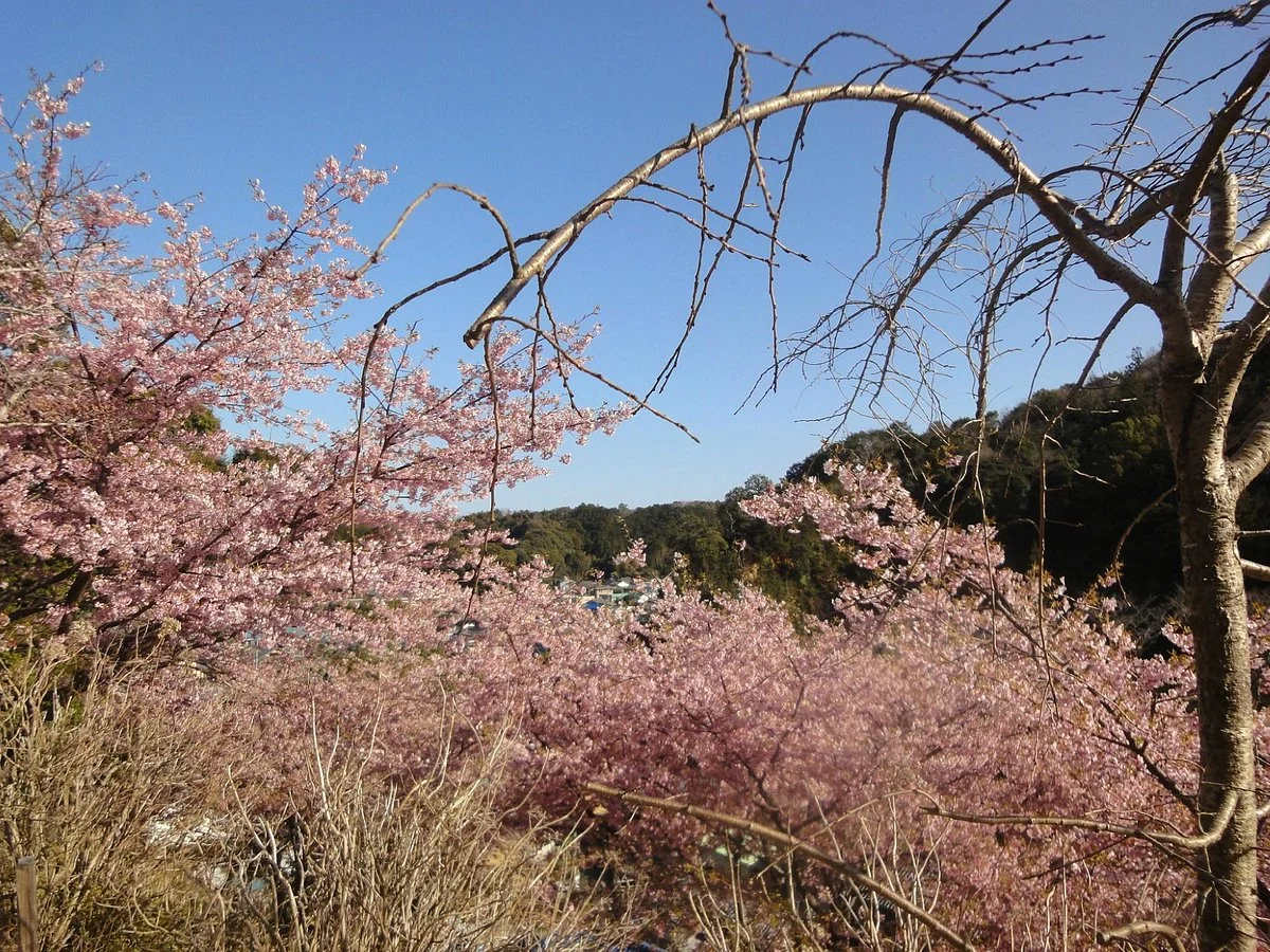 Kawamura Zuiken Park