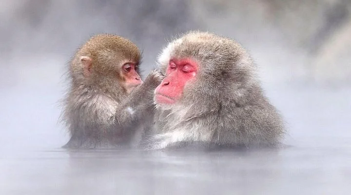 Bessho Onsen Tourism Association