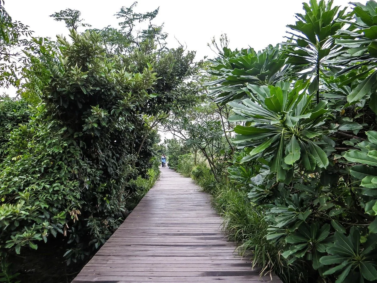 Qi'ao Island