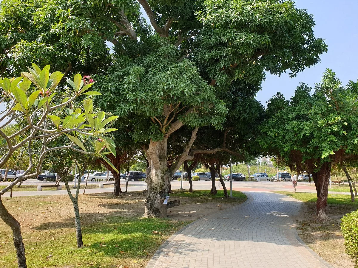 Xinping Park