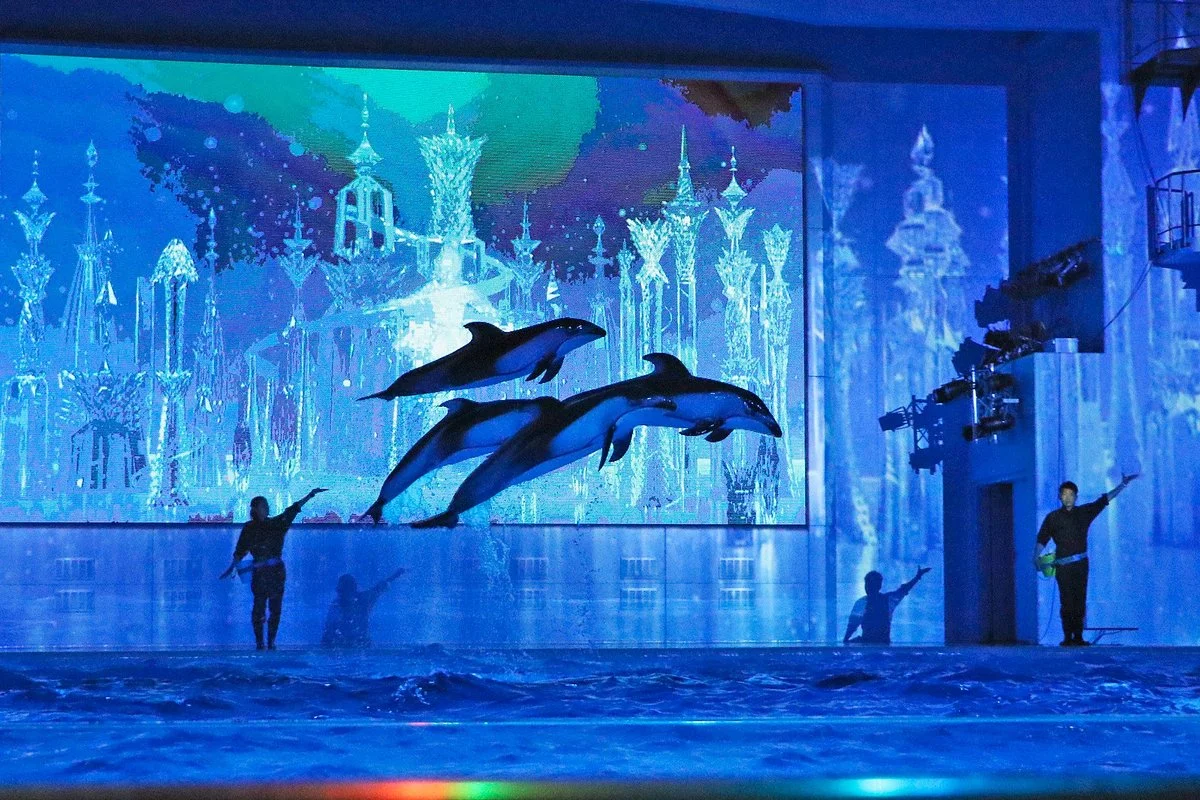 Yokohama Hakkeijima Sea Paradise
