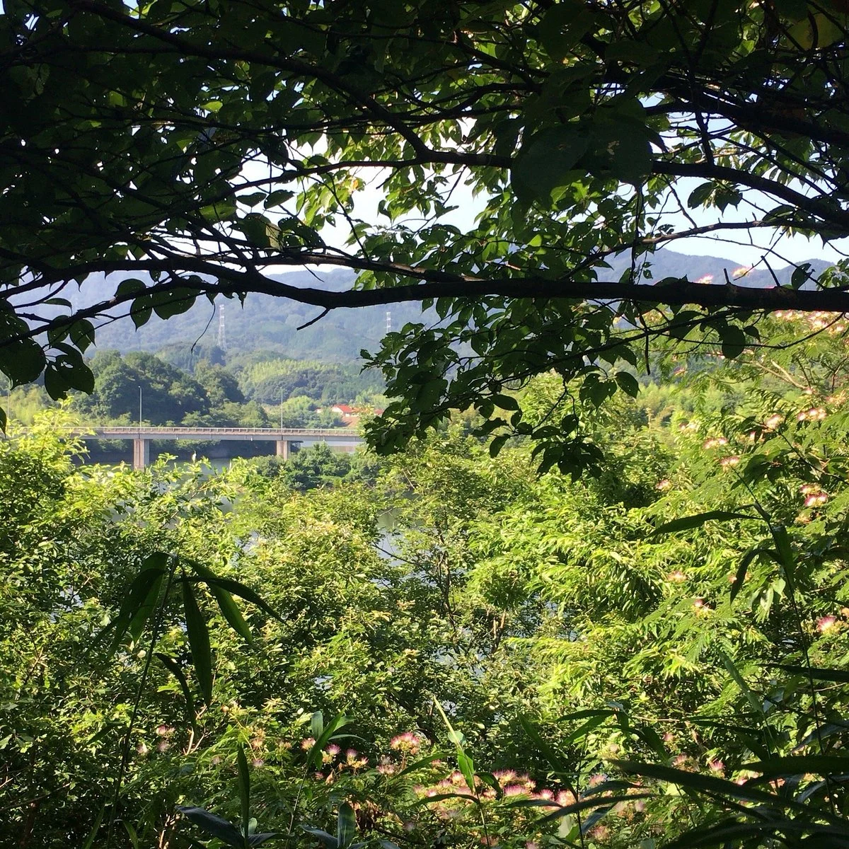 Lake Ryokusui