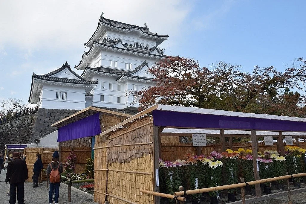 Odawara Castle Chrysanthemum Exhibition