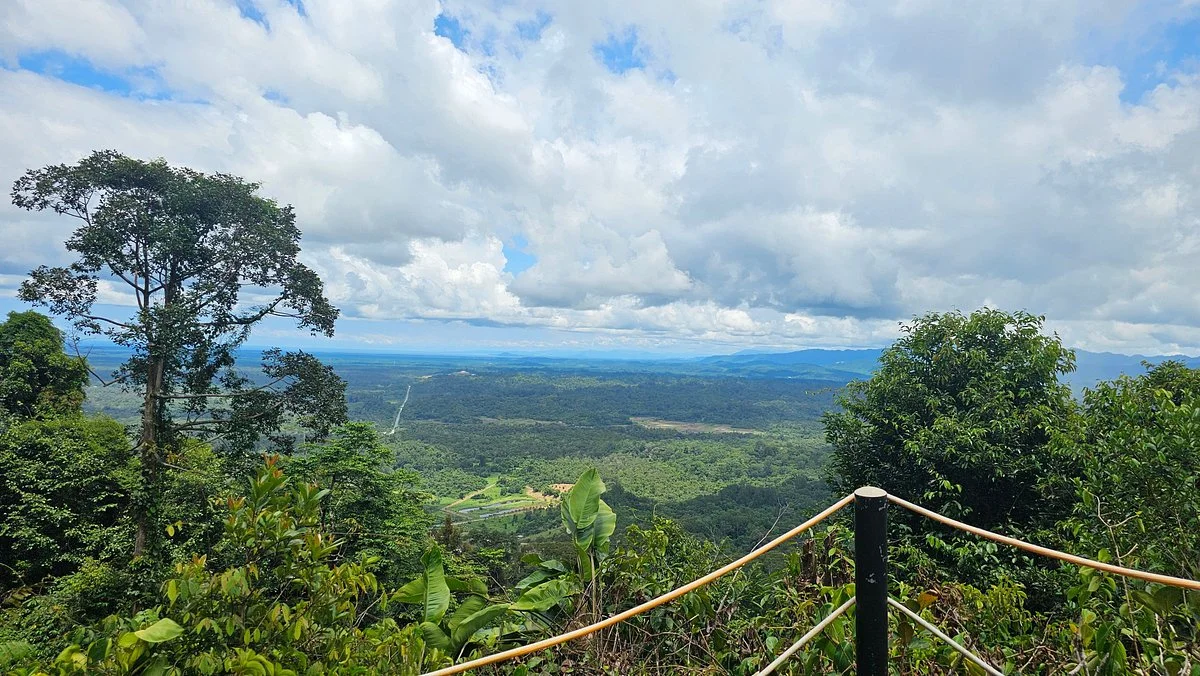 Bukit Patoi Forest Recreation Park