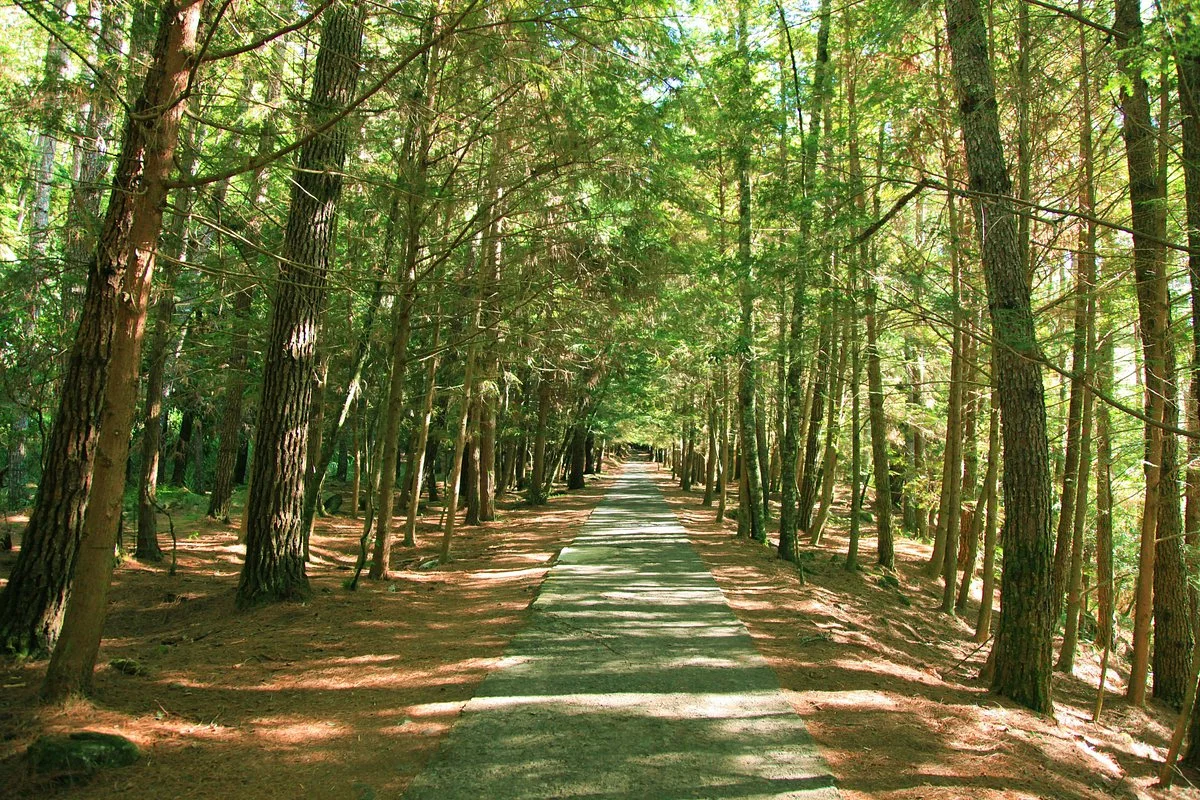 Wuling National Forest Recreation Area