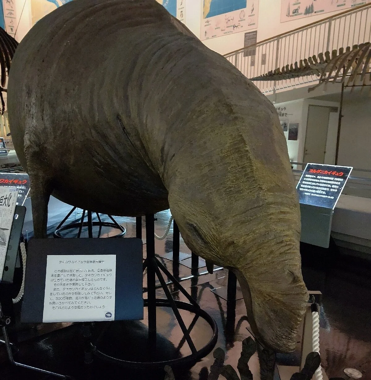 Takikawa Museum of Art and Natural History