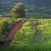 Mae Puem National Park