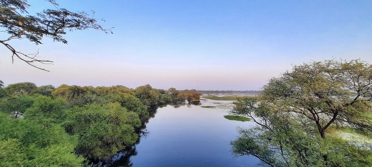 Bharatpur Bird Sanctuary