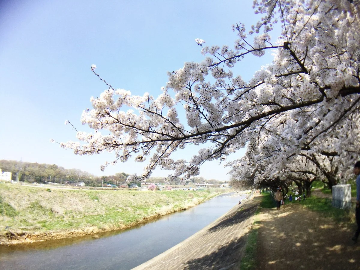 Kiyose Seseragi Park