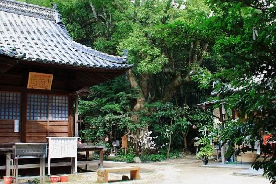 Tai Hachimangu