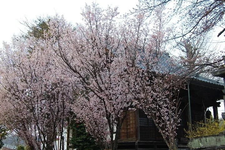 Gokuraku-ji Temple