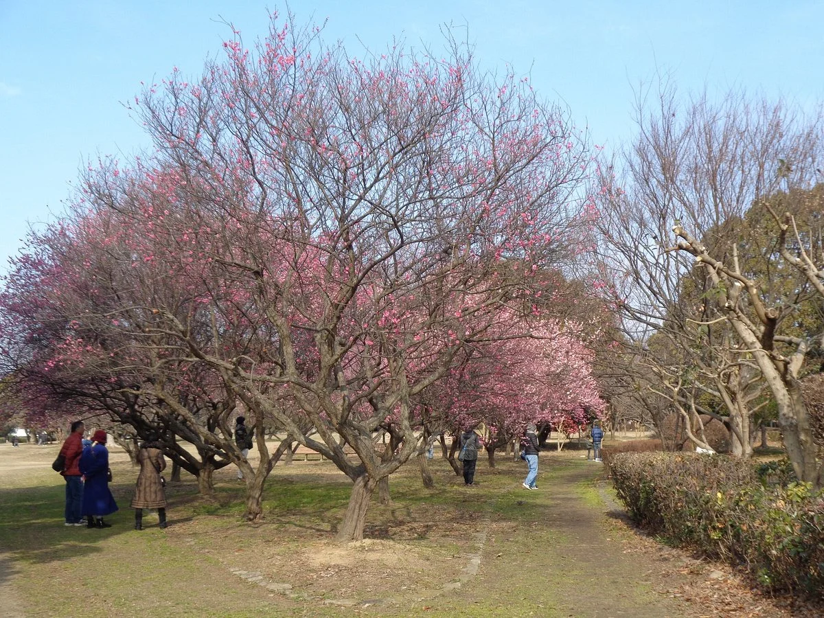 Harima Onaka Kodai No Mura