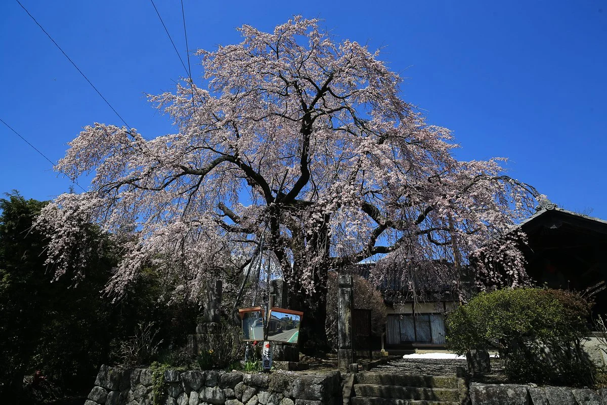 Fukuji Zenin Temple