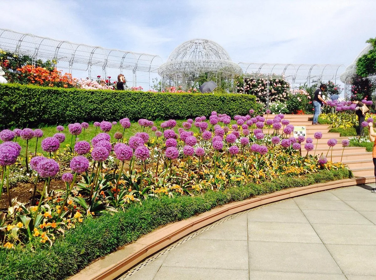 Odawara Flower Garden