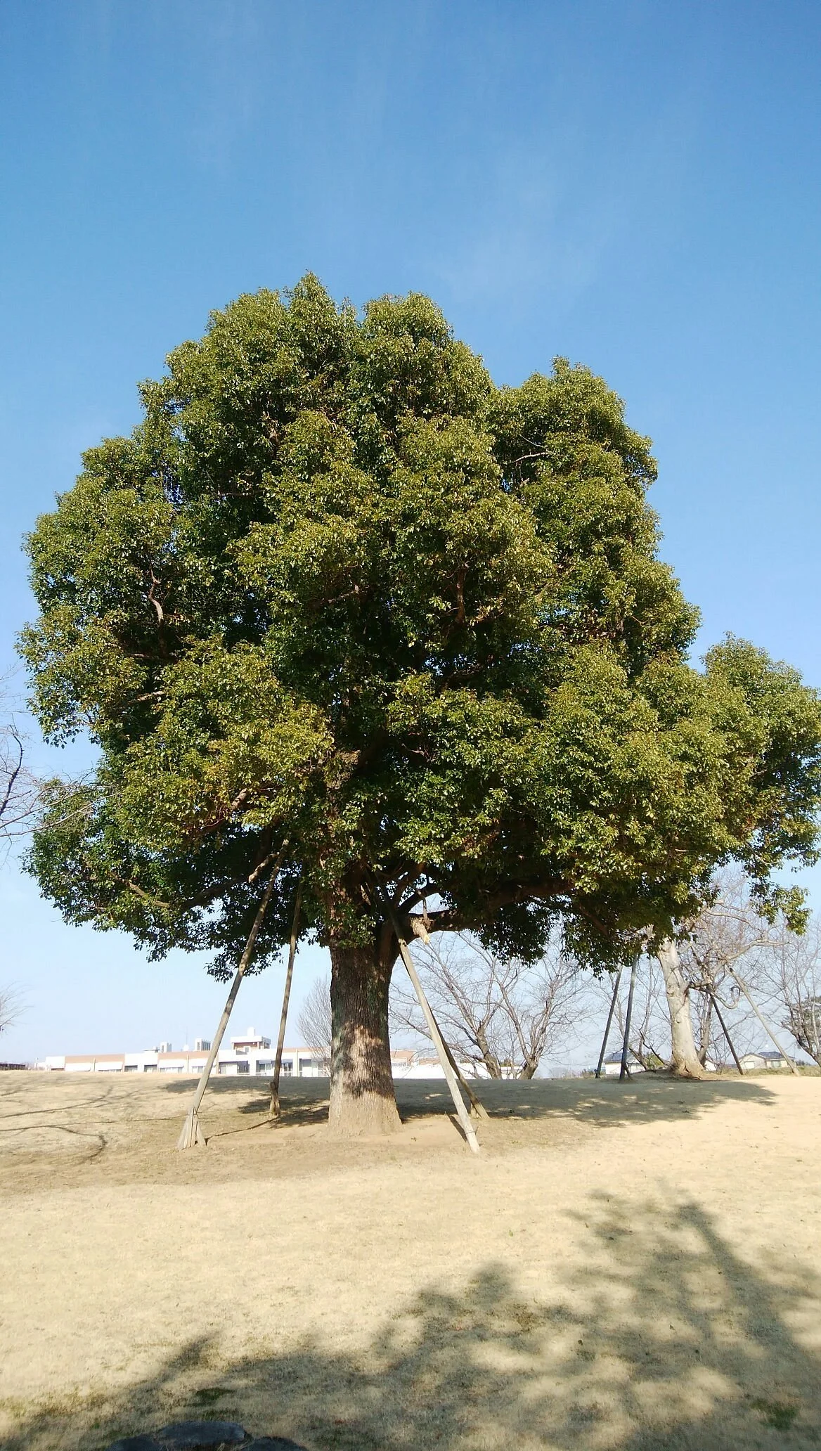 Fujiminoshi Undo Park
