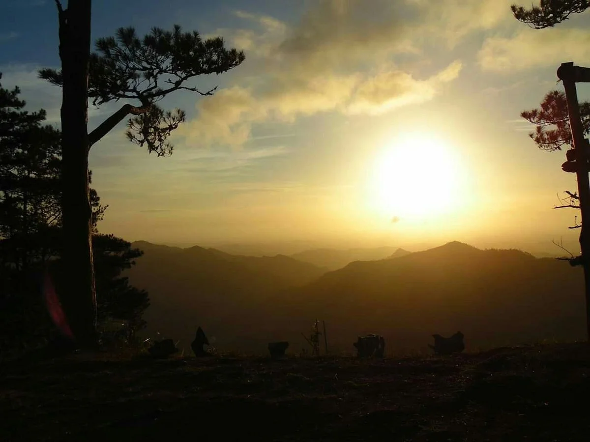Bucari Pine Forest