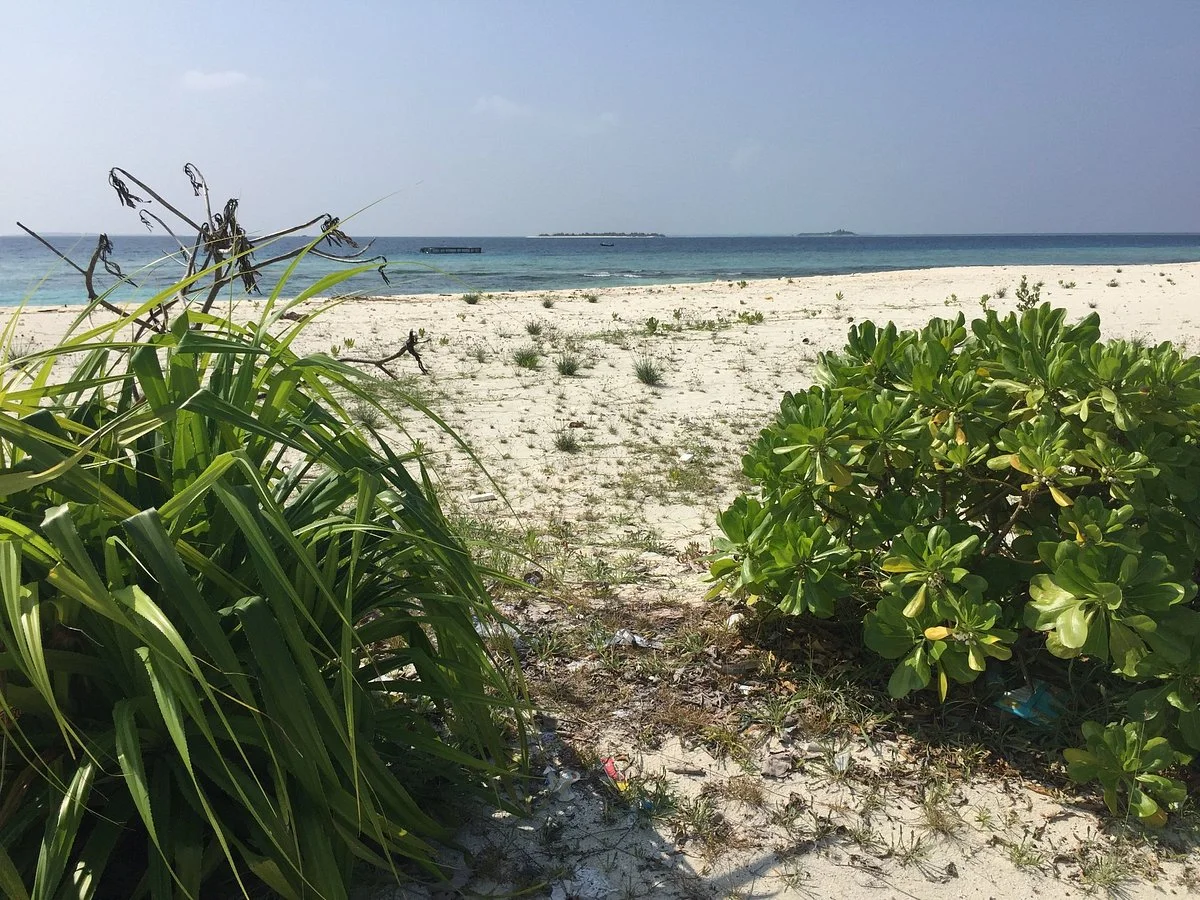 Tiny Island Marine Conservation Centre