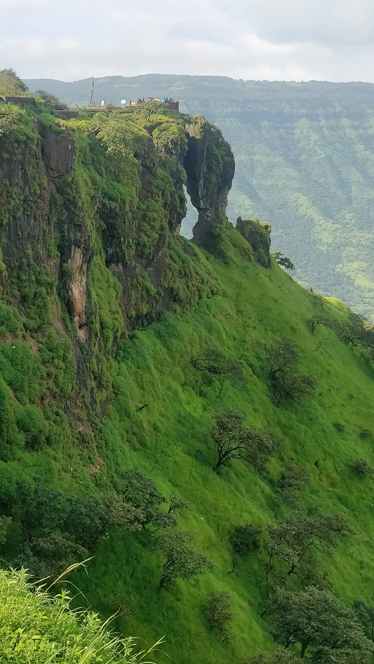Needle Hole Point
