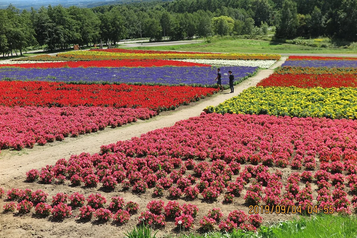 Flower Garden Hana Tento