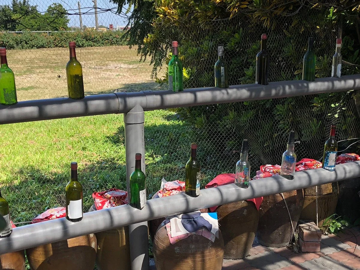 Taiwanese Winery and Vineyard