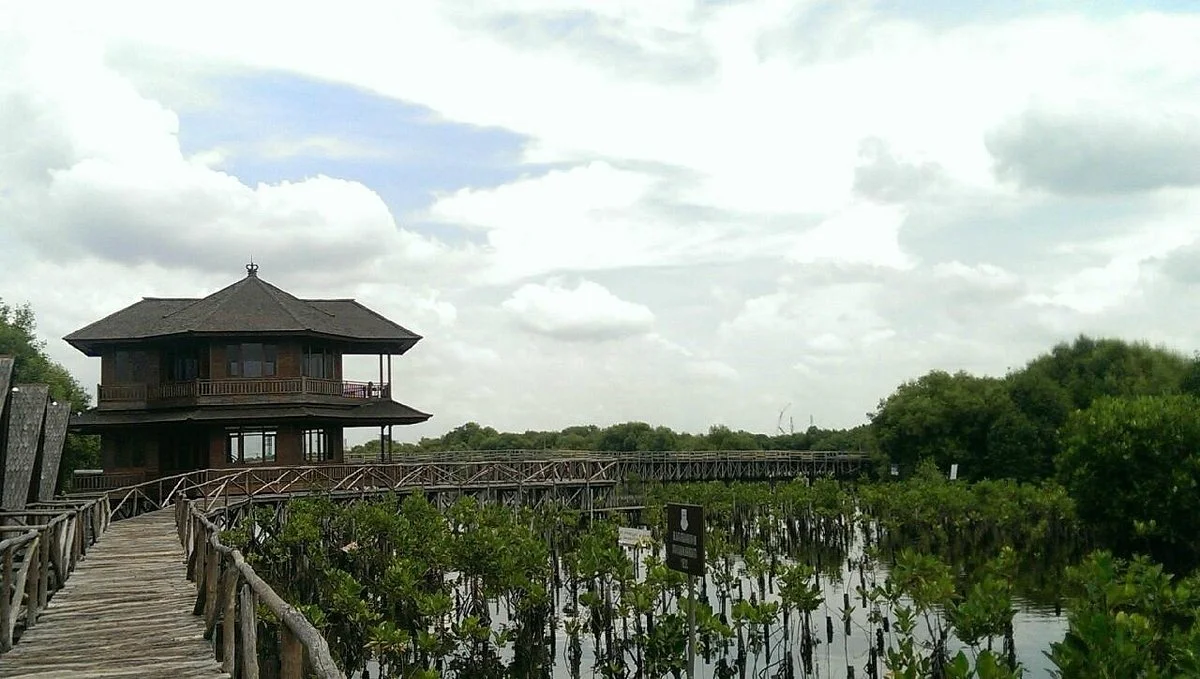 Alam Angke Kapuk Nature Park
