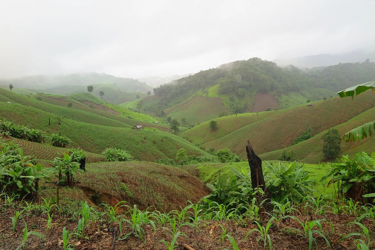 Khun Nan National Park
