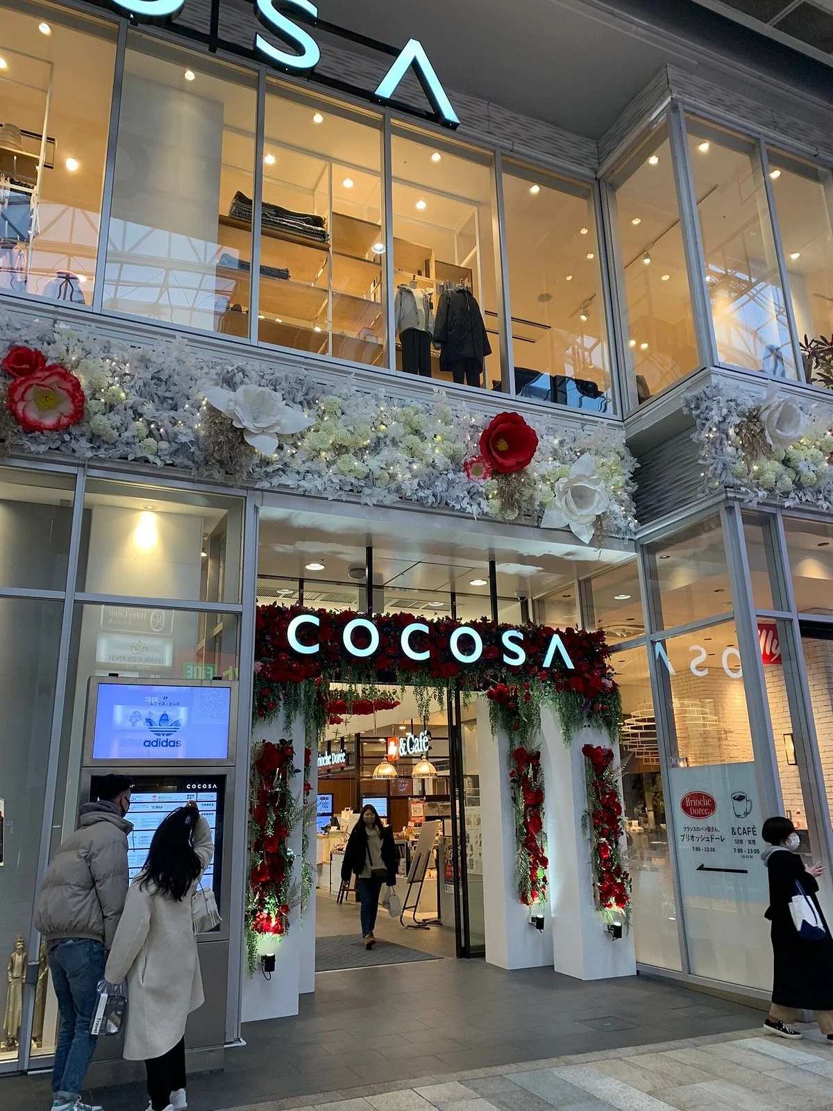 Cocosa
