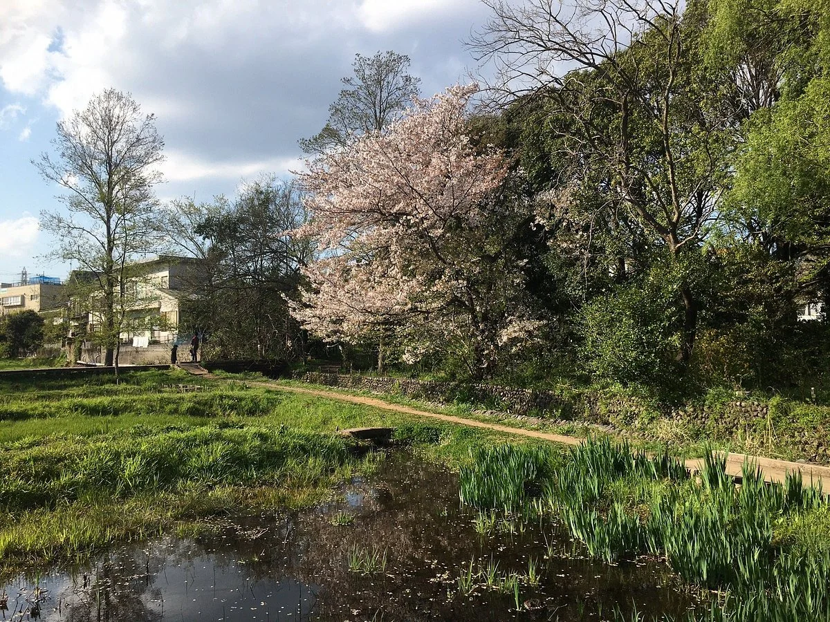Yagawa Ryokuchi Park