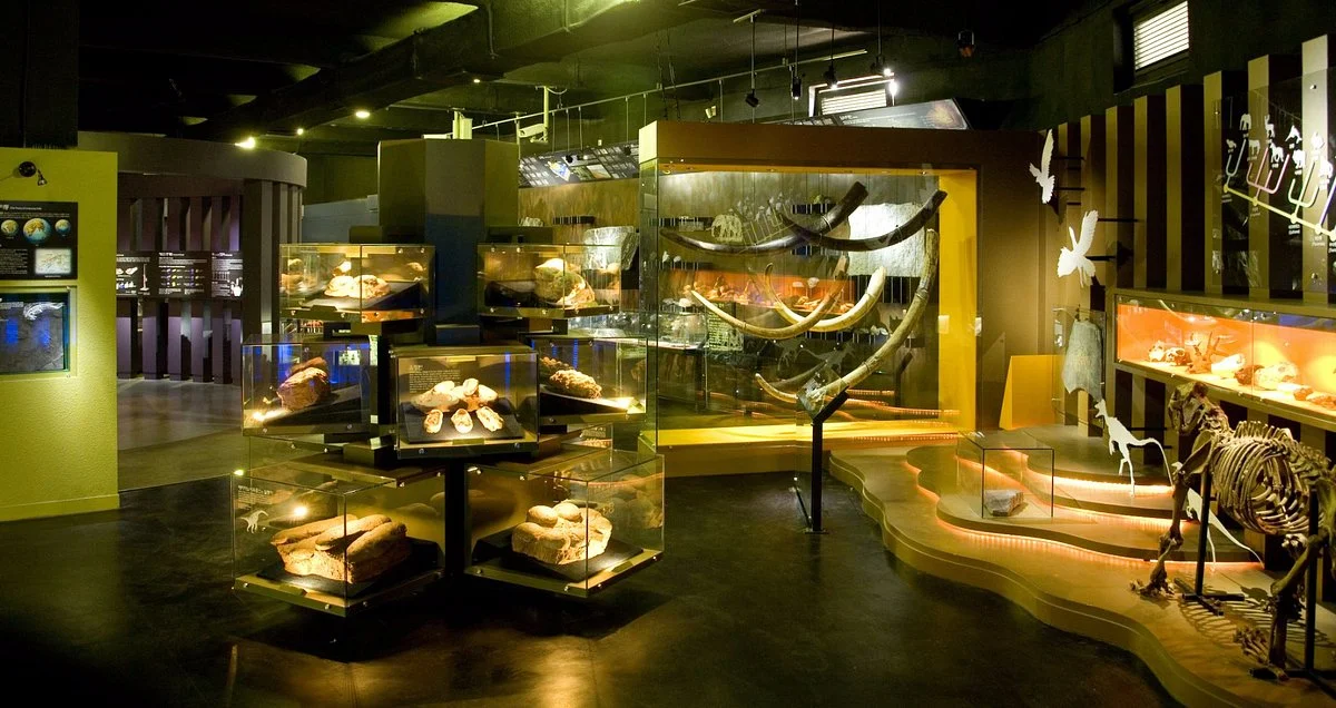 Woo Seok Heon Natural History Museum