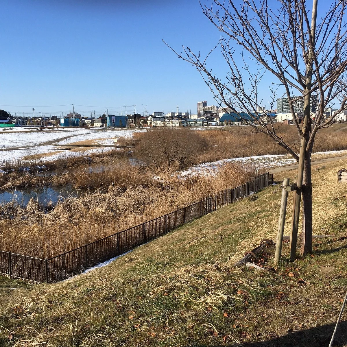 Ohorigawa Mizube Park