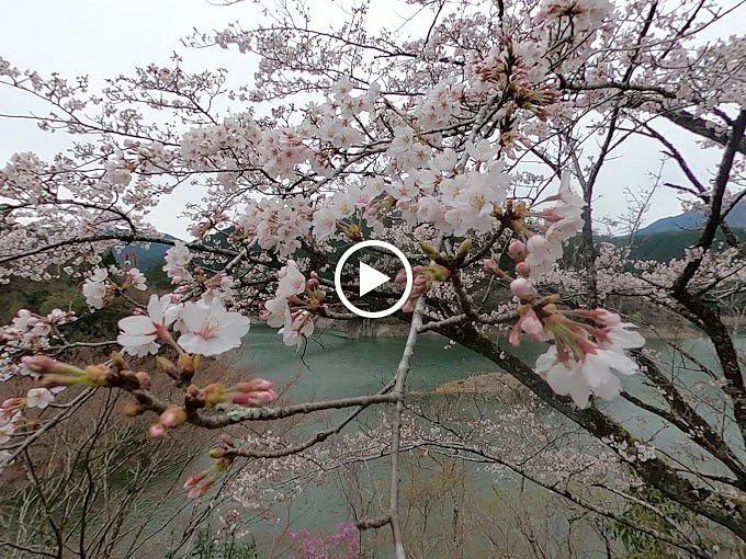 Yanase Maruyama Park