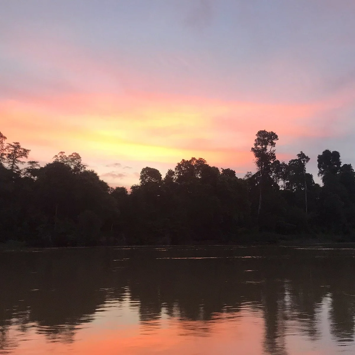 Kinabatangan Jungle Camp