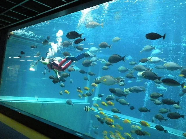 Hakoneen Aquarium