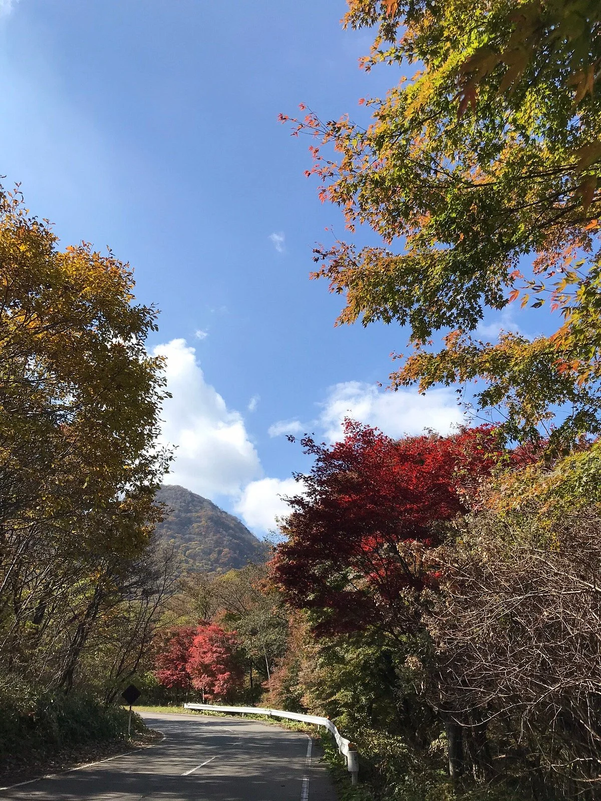 Ikaho Shinrin Park