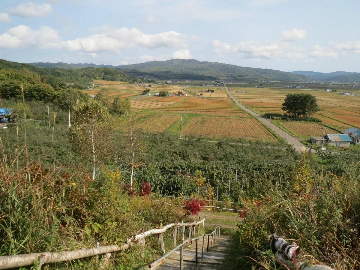 Miharashi Ogihara Fruit Garden