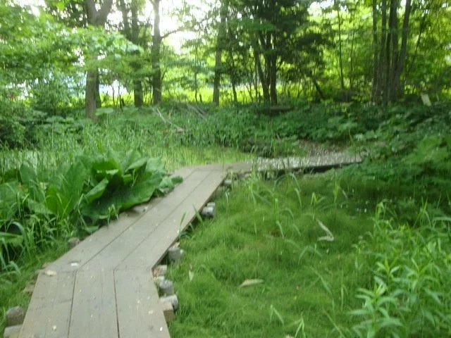 Hokkaido University Flowering Shrub Garden